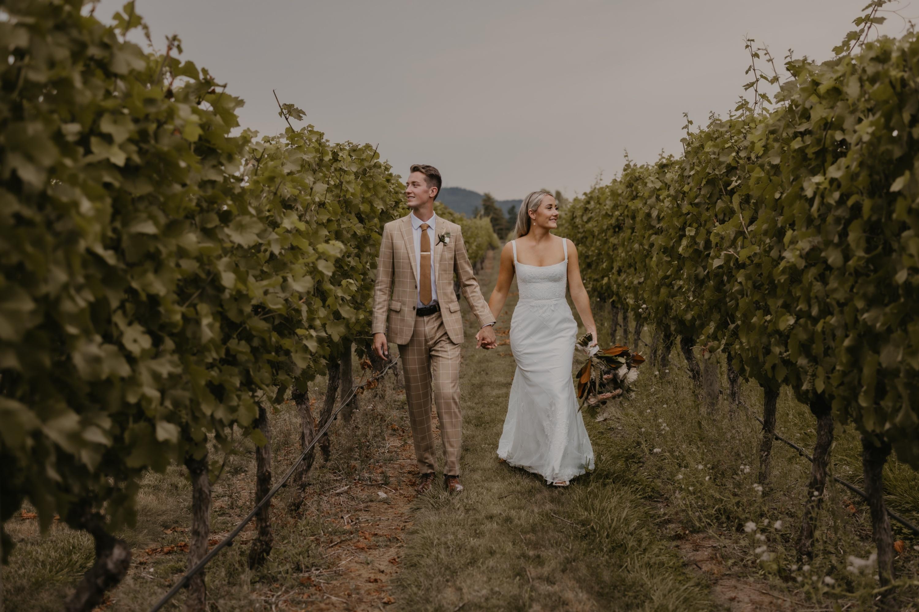 carousel-hero-element image-2